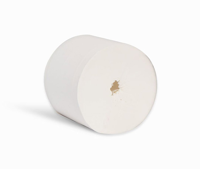 2PLY CORELESS TOILET ROLL (36)